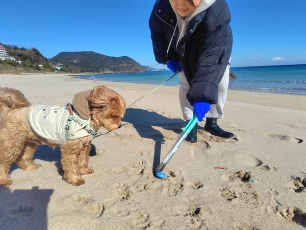 狗狗发现冲上岸的垃圾