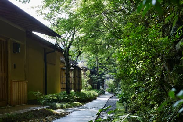 京都虹夕诺雅酒店工作人员带领的庭院之旅