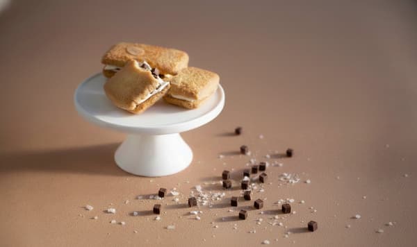 Saison Wich Salt Chocolate