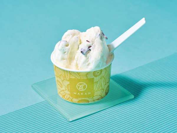 Japanese Gelato Choco Mint