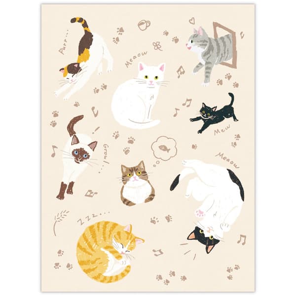 Ciao Letter Cat – 细节