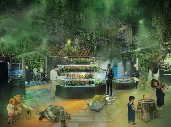 Renewed ELEMENTS zone