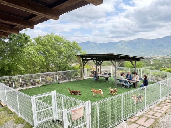 Dogs and their owners enjoying exclusive time at Sky Site
