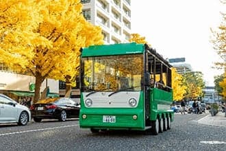 그린 슬로우 모빌리티