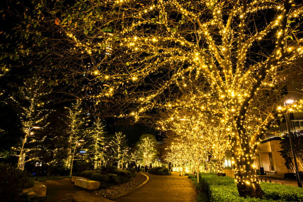 Path of Light (de un año pasado)
