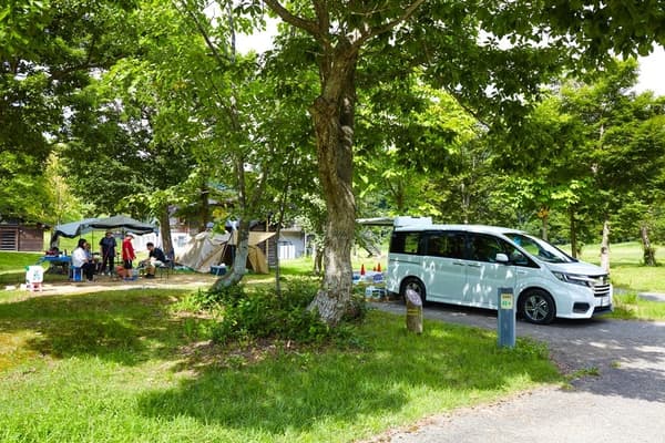 The most popular Auto Site – park your car right next to your pitch