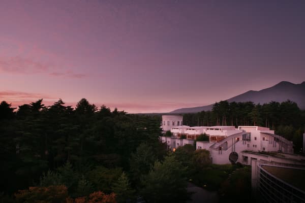 酒窖風格的空間