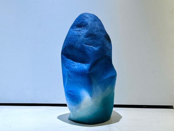 Felt objects made from wool