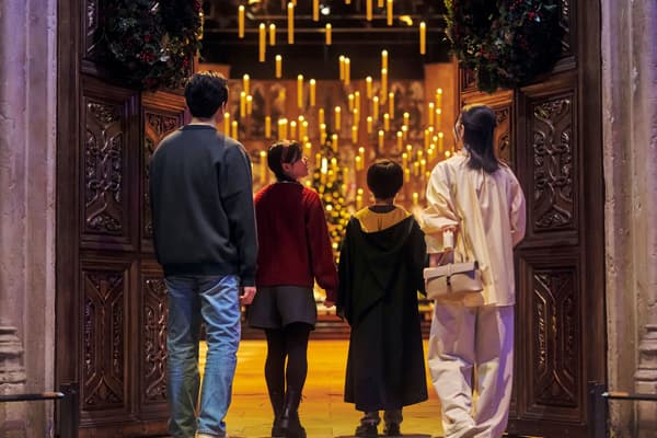 Visitors looking into the Great Hall
