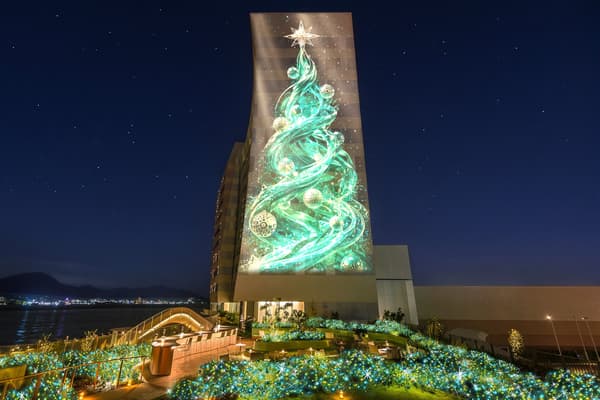 Pohon Natal setinggi sekitar 30 meter