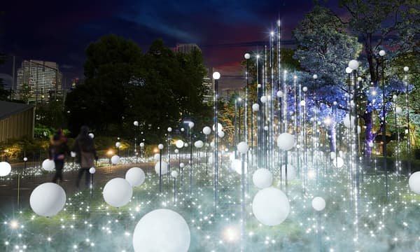 Escena 1, Noche de bosque nevado (imagen)
