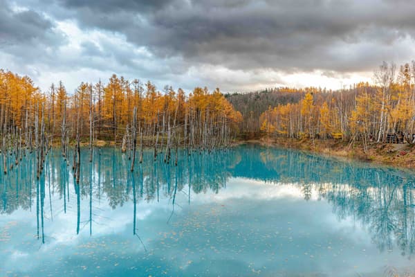 Shirogane Blue Pond