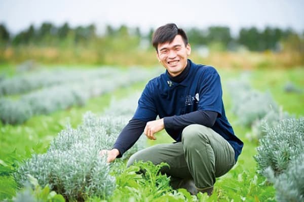原创混合草药茶