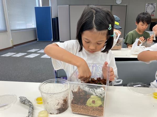 孩子们正在观察巨型锹甲虫