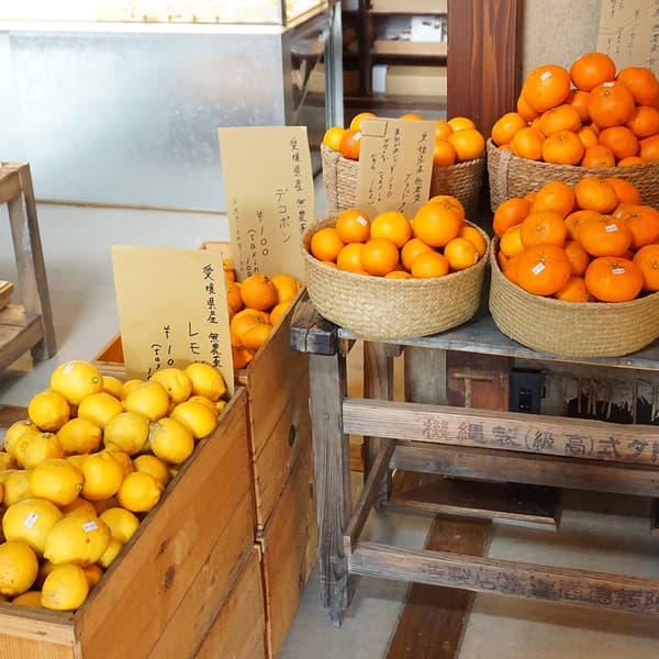 有机和不含农药的橙子和柠檬