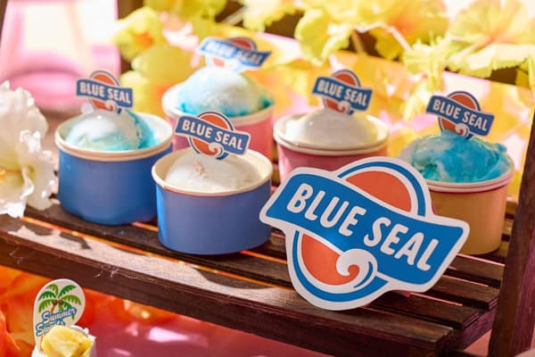 BLUE SEAL Ice Cream Station