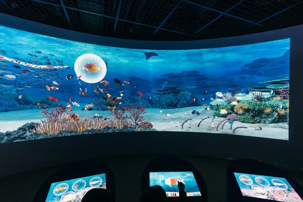 Exhibición interactiva de dibujo de peces de Coral Message