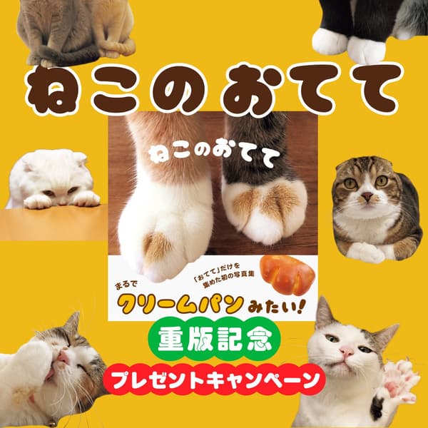 显示《猫爪》书籍封面的活动公告图片