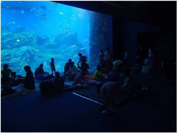Families sitting in front of an illuminated tank at night