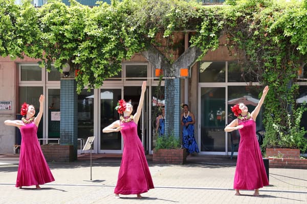 Pertunjukan tari Hula (2025)