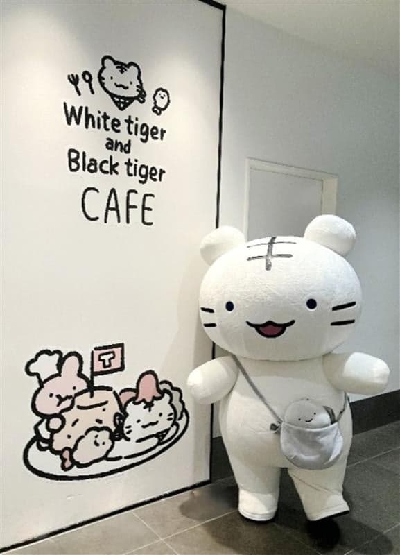 白虎見面會宣傳圖片