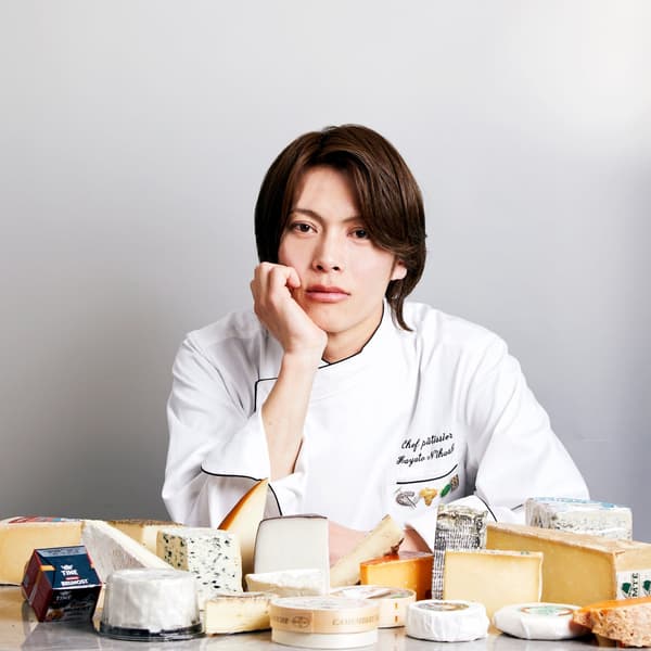 치즈 전문가 코스