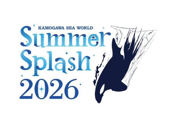 서머 스플래시 2026 로고 (화이트 버전)