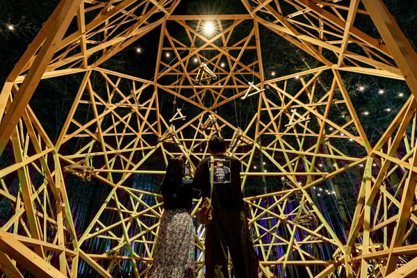 森林中的竹子灯光