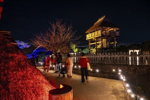 Park illumination scene 2