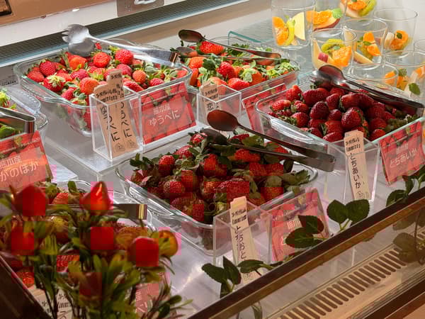 All-you-can-eat tasting of six Kumamoto brand strawberry varieties
