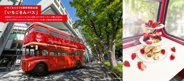 草莓小姐巴士宣传图