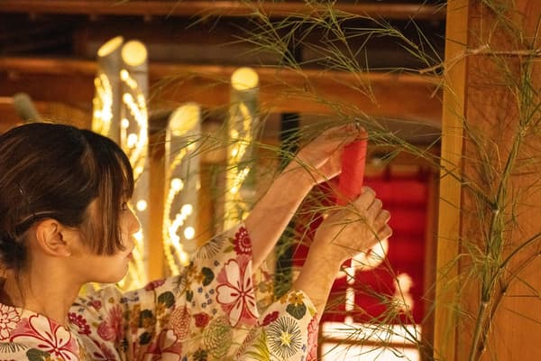 Bamboo tanzaku wishing strips at festival locations