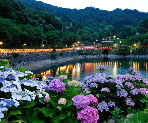 Night shuttle service to the Ajisai no Sato light-up