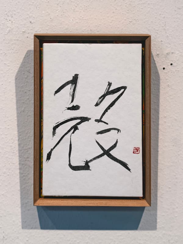 緊湊的框架作品「殼」