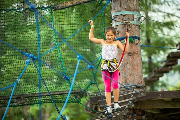 树木探险——初级课程
