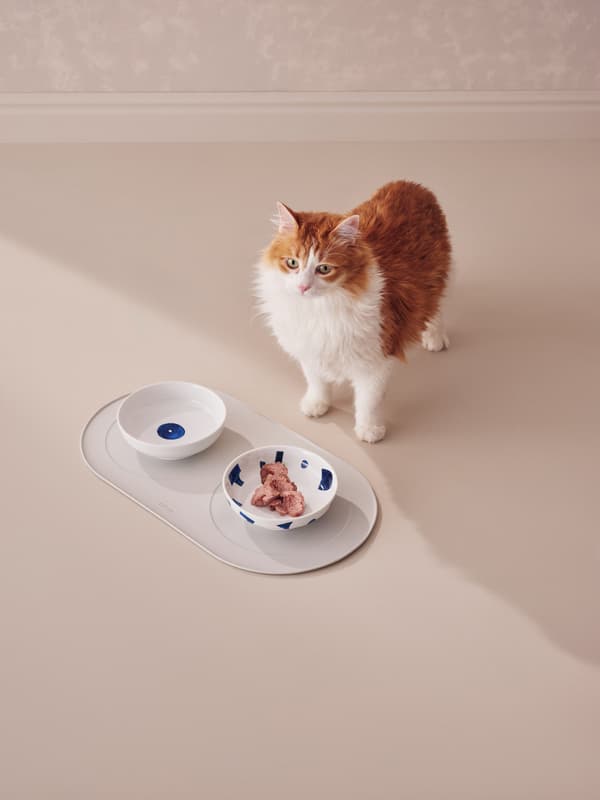 ชามน้ำแมว, ชามอาหารแมว และแผ่นรองอาหารสัตว์เลี้ยงจาก Itsumo Pet Yunoki Ware