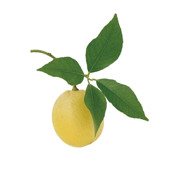 Lemon peel oil