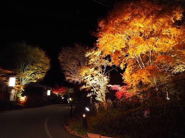 中尾高原的夜間點燈