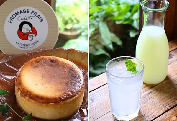 Cadette baked cheesecake and whey cordial drink
