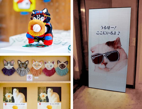 Scenes from THE CAT’S ISSUE FES