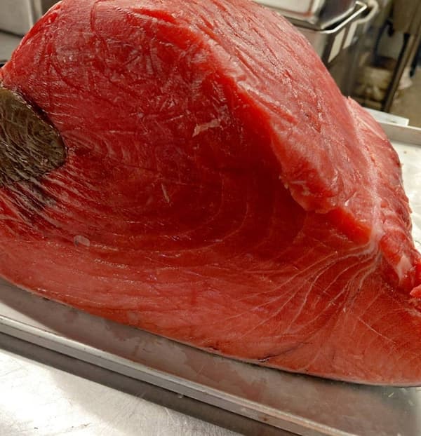 来自长崎和高知的限量新鲜蓝鳍金枪鱼