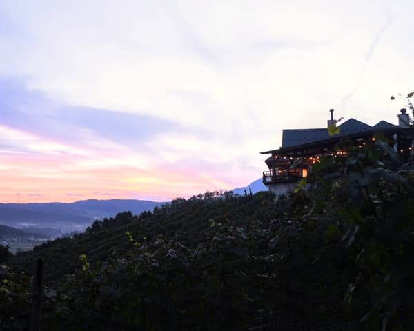 Vineyard and mountain views from Winery Restaurant Saint Cousair