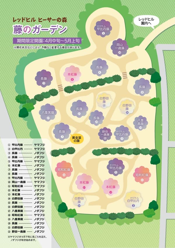 紫藤花园地图，标注了22棵移植大树的位置与品种