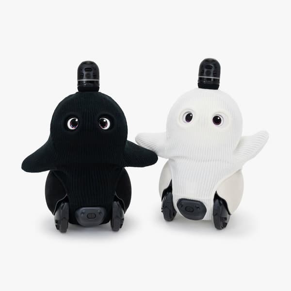 FRGMT GHOST KNIT en blanco y negro