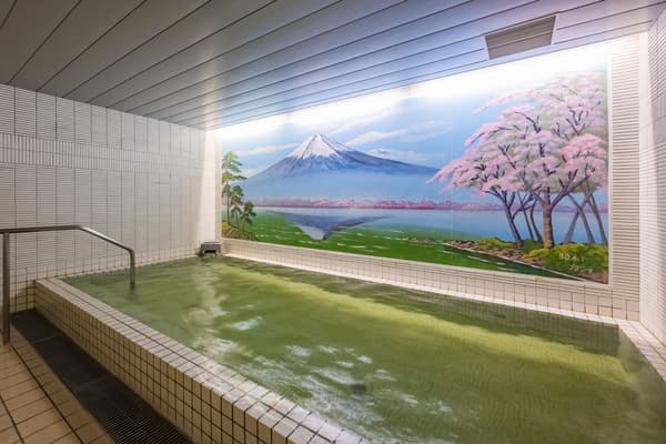 Hot spring bath with monthly rotating famous spring waters