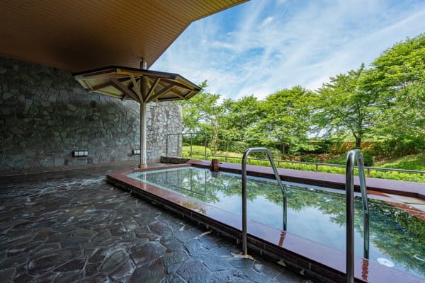 Outdoor bath with ocean view