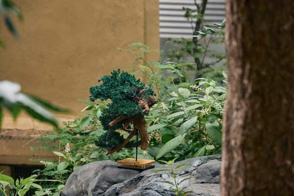 Karya RE BONSAI dipajang di luar ruangan di atas batu