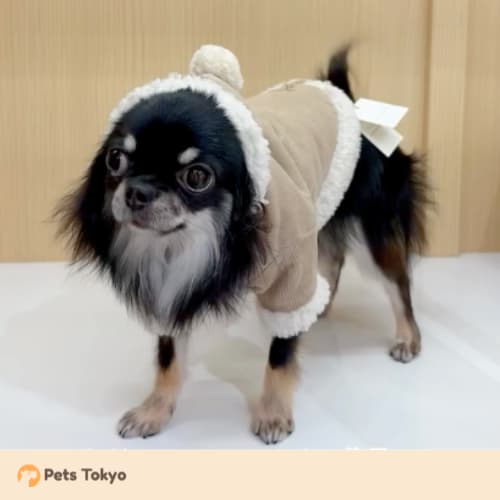 moncheri product display