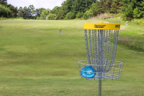 Disc golf goal