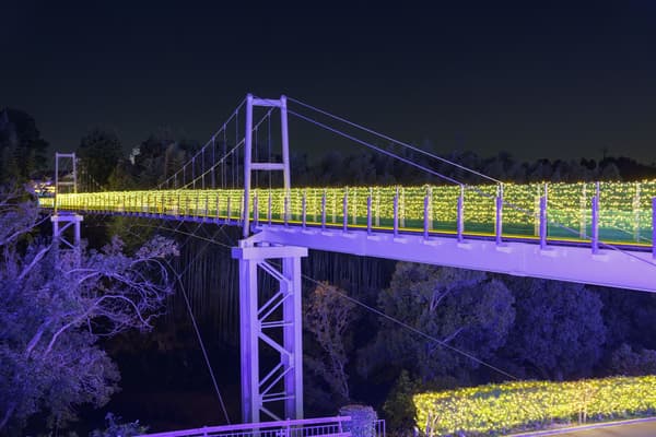 光之架橋